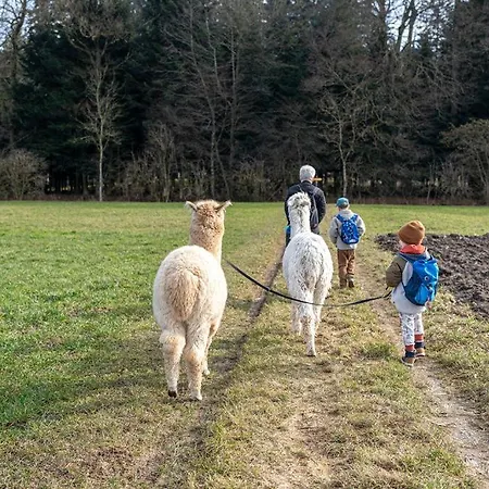 Gospodarstwo agroturystyczne Uelis-stoeckli-gaestezimmer Auf Bauernhof Mit Billiard Und Alpakatrekking Meikirch