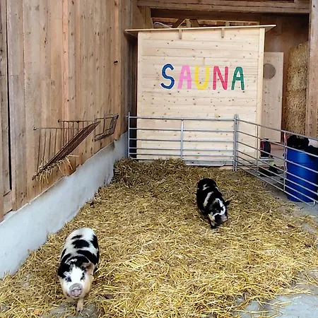 Gospodarstwo agroturystyczne Uelis-stoeckli-gaestezimmer Auf Bauernhof Mit Billiard Und Alpakatrekking *